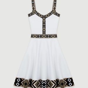 Maje Skater dress